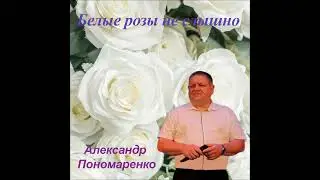 25 октября 2024 г.