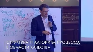 14. Структура и алгоритм процесса в области качества