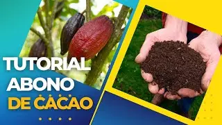 FABRICAR ABONO ORGÁNICO [FÁCIL]