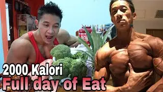Chest workout & Full day of eat