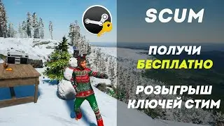 Розыгрыш steam ключей игры Scum. Получи игру бесплатно!