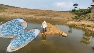 The light blue pearls are so perfect, the life that grows in the barren river