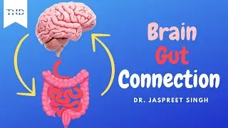 Gut and Brain Health Connection