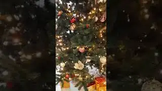 Зелёная красавица!🌲