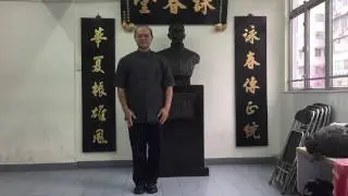 香港武術咏春拳 陳煜钊咏春武术国际叶系“小念头”教学。