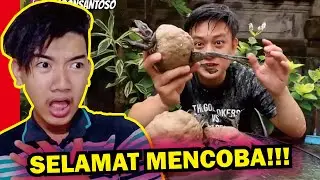BAKSO DARI DAGING KODOK? GAMASOKKK... Reaction Bobon Santoso