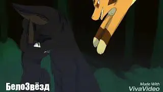 Остролистая-Hollyleaf[Коты Воители-Cats Warriors (Derniere Dance)]