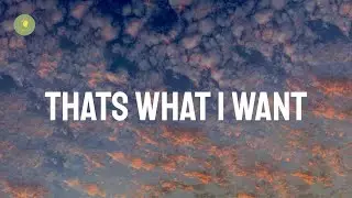Lil Nas X - THATS WHAT I WANT (Lyrics)