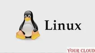 #1 Linux: Что такое Linux и чем он лучше Windows?