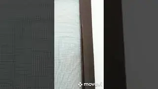 Москітні сітки