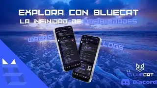 Un bot de Discord que tiene una función… BlueCat | Seguridad a tu alcance