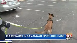 15K Reward In Savannah Spurlock Case