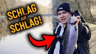 Mit Ultra Light Methode ERFOLGREICH AM FORELLENSEE
