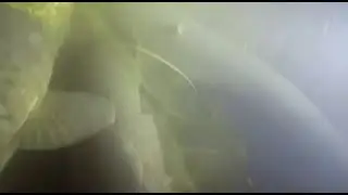Рыба просто КИШИТ на Волге/ ШОК/ Такого я еще не видел