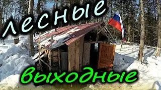 Лесные выходные.Ставим фотоловушку.