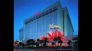 🌻 Flamingo Las Vegas Hotel & Casino 🌻