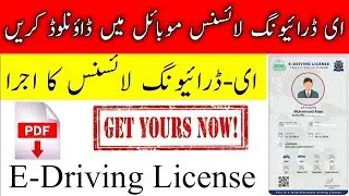 E-Driving License started in Punjab-Download your E-License for free | How to download E License