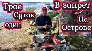 Трое суток на острове в Запрет ловим на донки Леща! Добираемся на лодке Альпина GT400! Продолжение