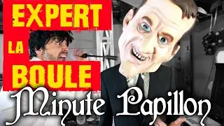EXPERT, Spécialiste et CHRONIQUEUR - Minute Papillon 2024