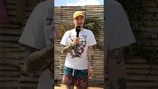 Casper ist ein frecher Fuchs! 🦊 #shorts