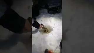 Рыбалка в мороз -35 градусов