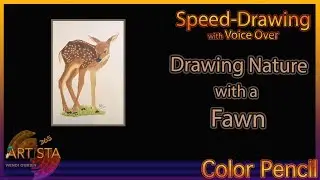 Drawing a Fawn with Colored Pencil | Nature with Colored Pencil
