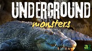 The Massive Crocodiles that Live in Dens 40 Feet Below the Surface