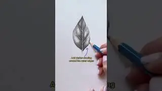 Learn to sketch realism in 30 seconds