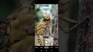 Cara Foto Macro di Xiaomi Redmi Note 10 Pro pake Gcam