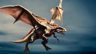 Animal that can fly backward