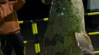 ikannya besar besar#fishing_video_2022