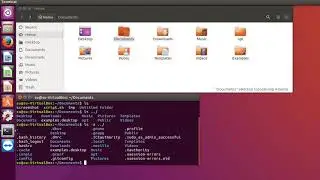 Linux command pwd, ls и file - nacigation commands.
