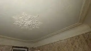 Large clearing - 65 sq. m. Fully ceiling throughout the apartment. intermediate object
