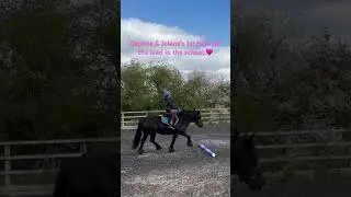 #fellpony #rarebreed #pararider #horse #shorts #visuallyimpaired #cerebralpalsy #8yearsold