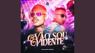 NÃO SOU VIDENTE