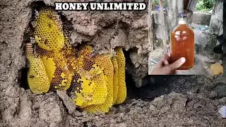 DAMING POLUT..HINDI KU AKALAIN