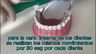 Tecnica de cepillado Barrido Vertical / Dento Babymom
