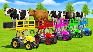TRANSPORTING BULLS & HORSES WITH RIGITRAC COLORED TRACTORS & MERCEDES TRUCKS - FS22
