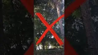 #futbol