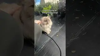 he had so much to say! 