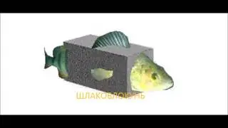ШЛАКОБЛОКУНЬ ЧТО ЭТО ОТКУДА ЭТО ИСТОРИЯ МЕМА !!!