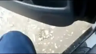Нетипичная Махачкала  что не надо делать а такси