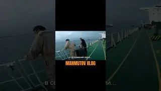 👆👆👆 #mahmutov #jekamahmutov #mahmutovvlog #работавморе #sea #моряк