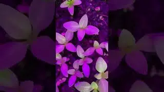 4 февраля 2022 г.