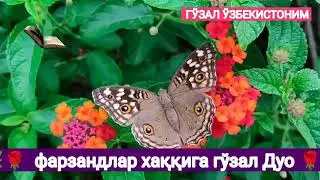 Фарзандлар хаққига гўзал дуо. @otinoyilar8551 @maruzalartoplami