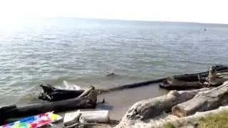 Джек и Обское море.