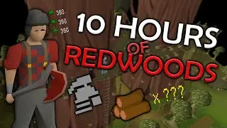 Loot From 10 Hours Of Chopping Redwood Trees