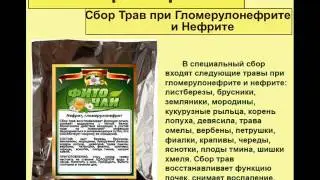 Сбор Трав при Гломерулонефрите и Нефрите