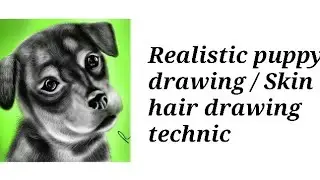 Puppy drawing / Cute puppy drawing/hair drawing technic/Realistic puppy drawing/Autodesk sketchbook