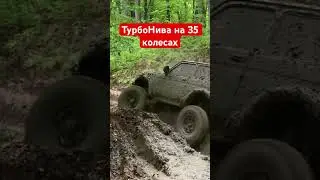 Самая топовая нива! 